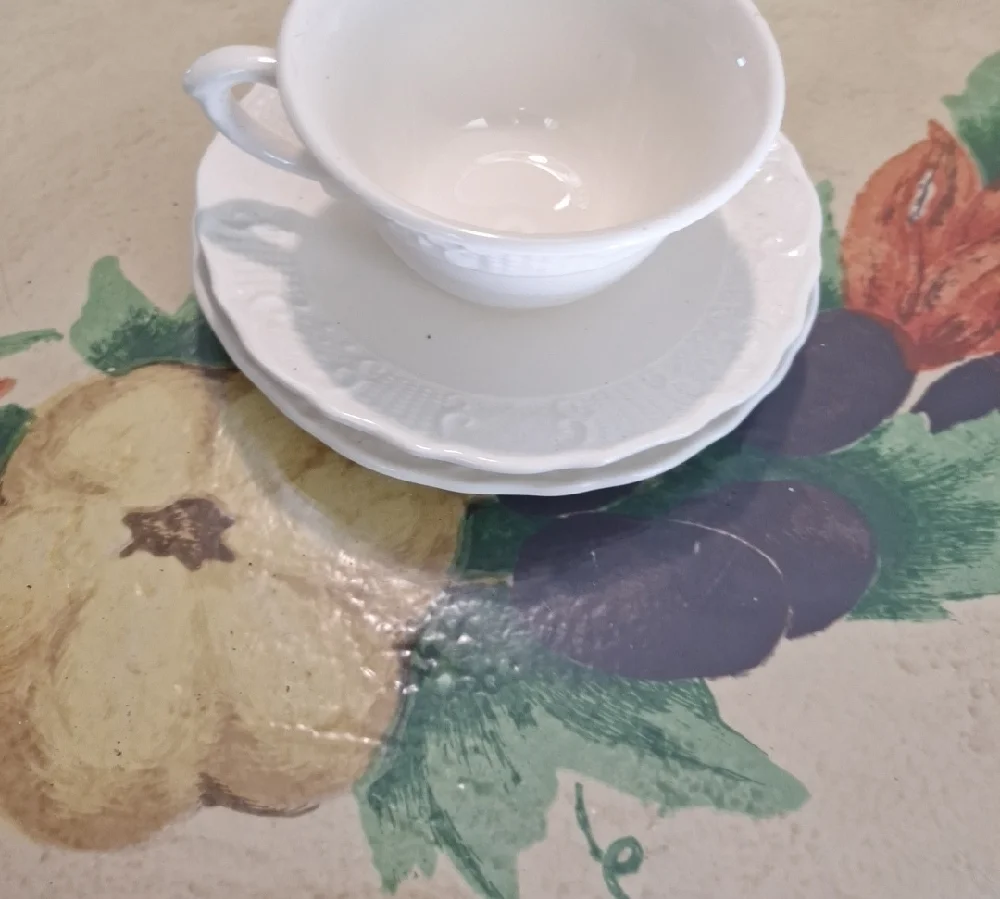 Unique Vintage Classic White Tea Cup and Saucer Set